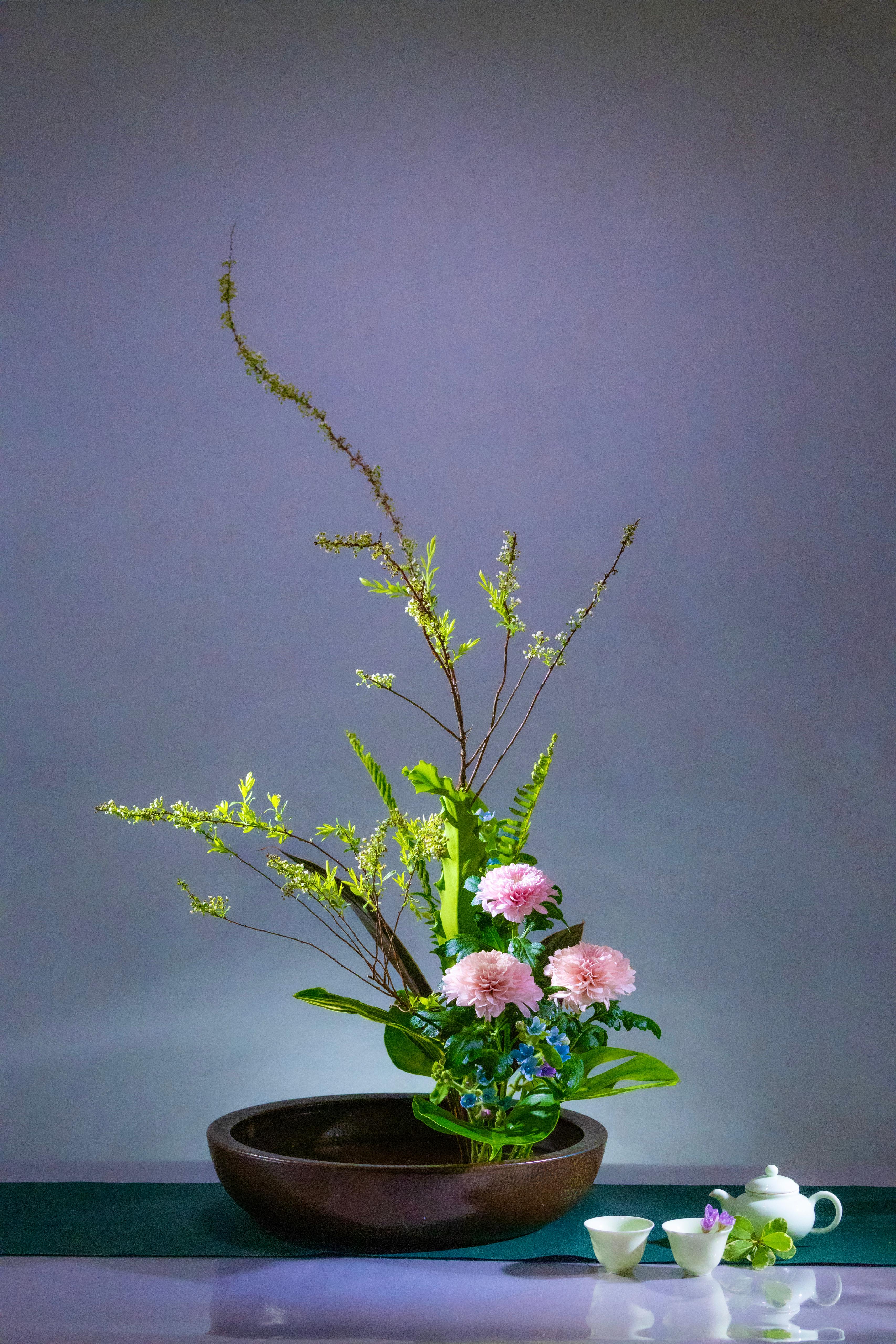 Gallery Image 24