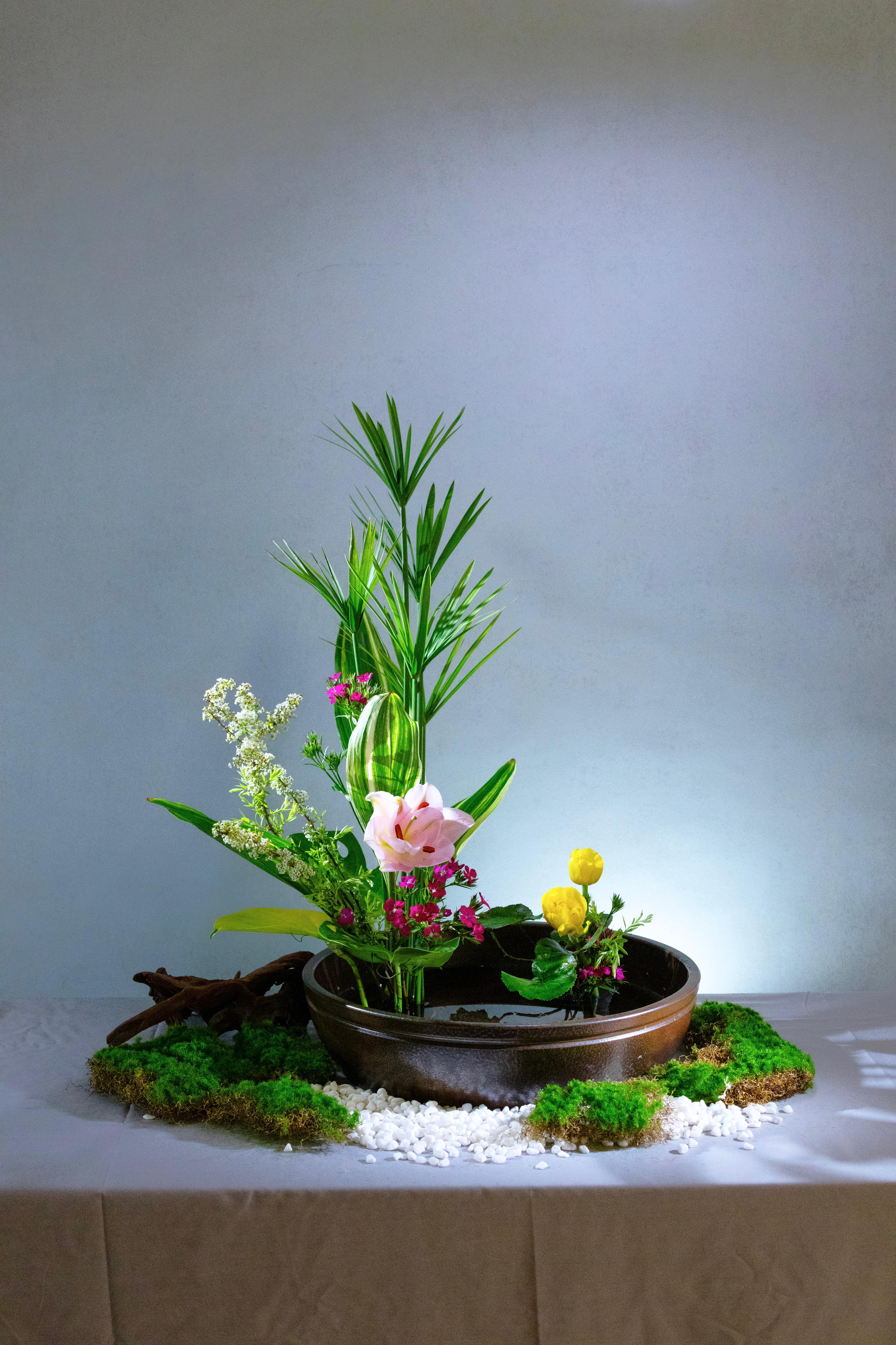 Gallery Image 26